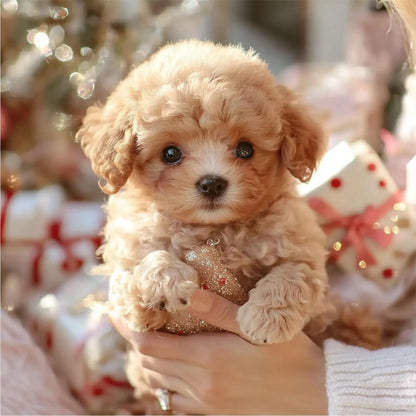 FurReal Buddy – Lifelike Cuddles, Zero Mess!